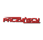 Logo firmy P.H.U. Paczyńscy